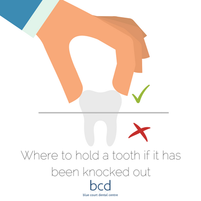 Where to hold a tooth if it has been knocked out