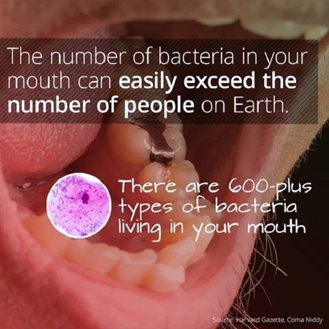 Quantity of bacteria in your mouth