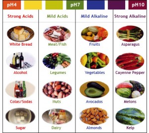 ph level in food